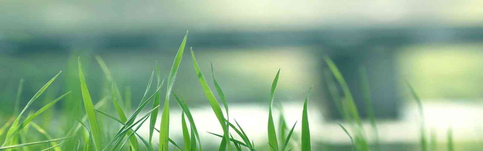 PG免费送2000试玩金